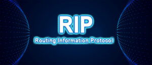 پروتکل مسیریابی RIP چیست؟